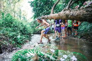 BIB: 
                            <button type="button" onclick="openModal(25468370)" class="btn btn-primary btn-sm float-right btn-popup" data-toggle="modal" data-target=".modal-high-quality">
                        <i class="fas fa-shopping-cart"></i> Add to Cart
                    </button>
                                            <button type="button" onclick="isThisMe(25468370, true)" class="btn btn-success btn-sm float-right btn-popup btn-isme hidden" data-toggle="tooltip" data-placement="bottom" title="นี่คือรูปของคุณใช่ไหม คลิกที่นี่เพื่อเอาเข้าอัลบั้ม">
                        <i class="fas fa-plus"></i> Add to album
                    </button>
                    <button type="button" onclick="isThisMe(25468370, false)" class="btn btn-warning btn-sm float-right btn-popup btn-isnotme hidden">
                        <i class="fas fa-ban"></i> Remove from album
                    </button>